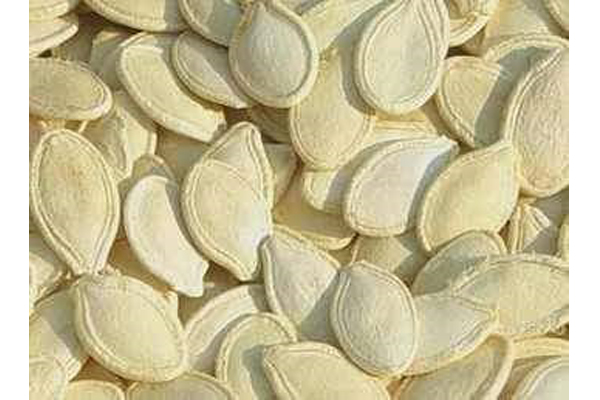 Egyptian gourd seeds