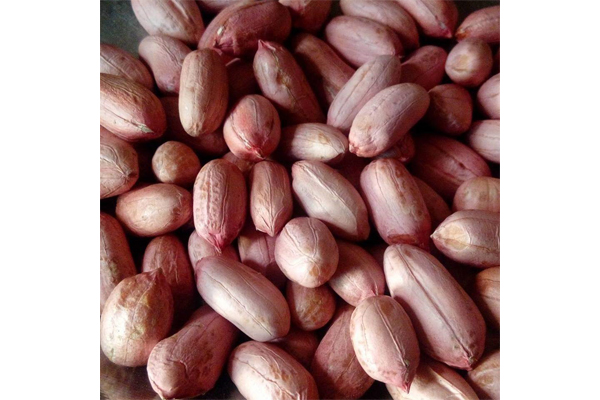 Peanuts with red skin